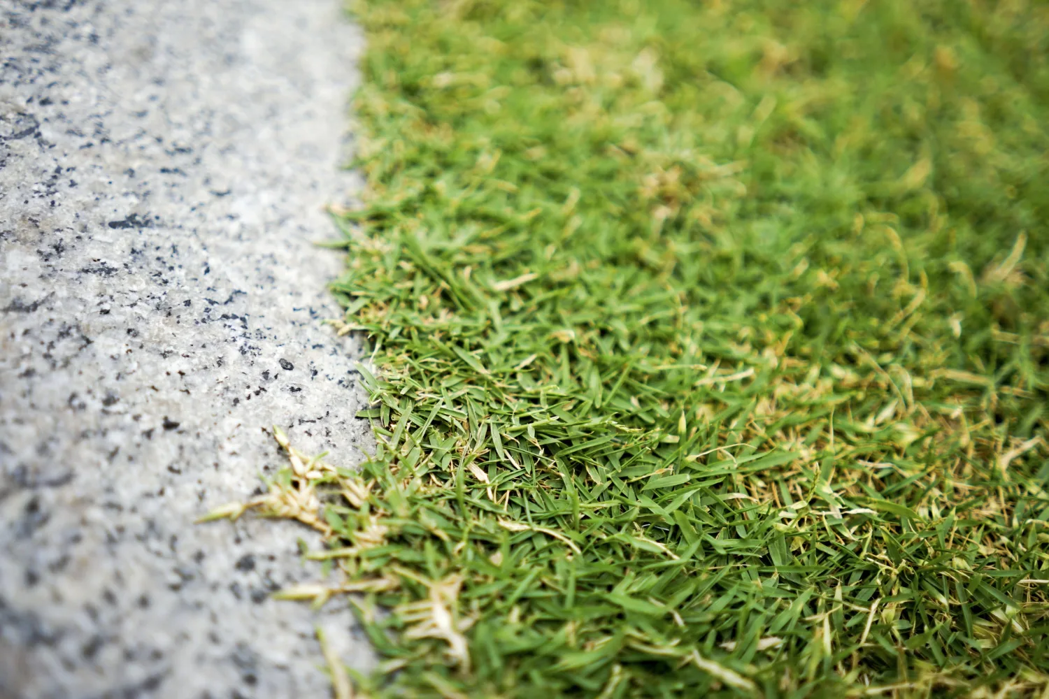 Kante zwischen befestigtem Asphalt und angrenzender Rasenfläche